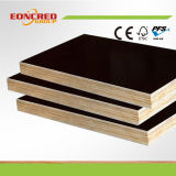 15mm Film Faced Plywood for Construction