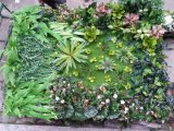 High Quality Artificial Plants and Flowers of Green Wall Gu-Wall05182937