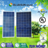 2014 Year Bluesun High Quality Competitive Price Mono Convenient Solar Panel Calculator