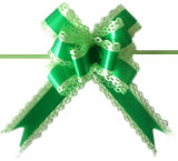 Beautiful Green Embossed PP Butterfly Pull Bow