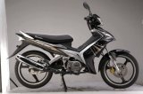 Cub/ Motorcycle/Cub Motorcycle (SP110-14) 