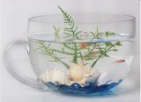 Cup Shaped Clear Hand Blown Glass Fish Bowl