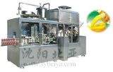 Apple Juice Carton Beverage Filling Machinery (BW-2500B)