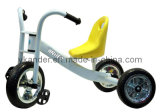 2014 Children Fashion Design Pedal Trike Bike (AND-602)