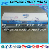 Common Rail Pipe for Weichai Diesel Engine Parts (612630080038)