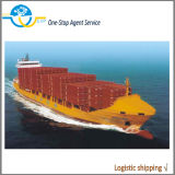 Sea Cargo Container Logistics Service