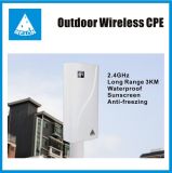 Long Raneg 3km Outdoor Access Point, Wireless CPE, Bridge/Router, 14dBi Panel Antenna, Melon N828