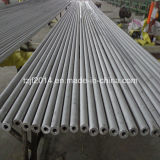 Free Sample 316L Stainless Steel Seamless Pipes/Tubes