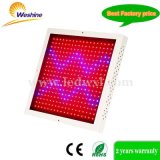 20W Hydroponic / HPS Horticulture Greenhouse Light LED Grow Light