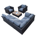 Outdoor Rattan Furniture for Living Room with Aluminum (8221-1)