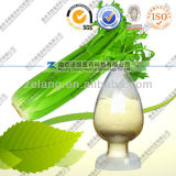 Natural Organic Celery Stalk Extract Powder 98% HPLC Apigenin