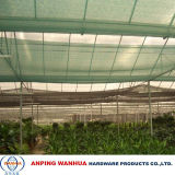 Green Shade Netting for Grains (anping manufacturer)