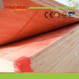 Furniture & Packing Use Timber Plywood & Okume Plywood