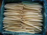 IQF White Asparagus Whole