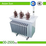 Best Sell Good Quality Customize Oil Transformer (S11-200/35)