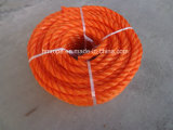 PP Monofilament Twisted Rope (PE 3 strands twisted rope)