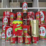 Manufacturing Green Food Canned Tomato Paste