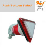 33mm Triangle Illuminated Push Button Switch