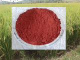 Red Yeast Rice Functional / Pigment