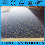 Film Faced Shuttering Plywood/Waterproof Shutter Plywood
