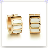 Jewelry Fashion Accessories Stainless Steel Earring (EE0124)