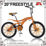 20 Inch Print Decal Color Freestyle Bicycle (ABS-2045S)