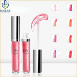 Colorful Make-up Supplier Cosmetic Moisturizing Lip Gloss