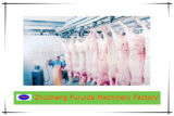 Pig Slaughter Line Equipments / Slaughtering-Line