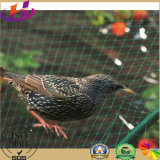 100% Vrigin HDPE Anti Bird Protection Net
