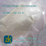 High Purity of Testosteron