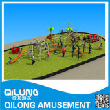 Playground Equipment for Kids Outdoor (QL14-134D)