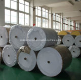 High Quality PE Coated Paper in Roll