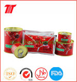 Hot Sell Good Quality Tomato Sauce (tomato paste manufacture)