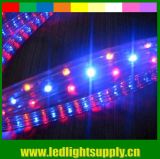 Christmas Tree Decoration 4 Wires Flat Rby LED Lighting Rope