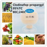 High Quality Pesticide Products Clodinafop-Propargyl