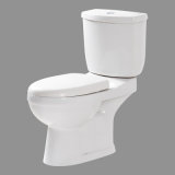 Toilet (P-E307)