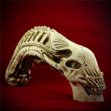 Animal Medicine Teaching Props Alien Warrior Skull