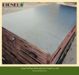 SGS Certificate Water Proof Film Faced Plywood