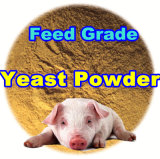 Animal Feed Yeast Powder with Professinal