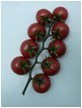 Artificial Fruits-Tomato Branch