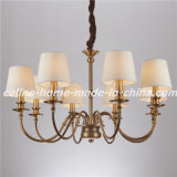 Decorative Iron Pendant Lighting Chandelier Lighting (SL2090-8)