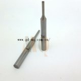 Injection Core/Special Precision Parts (MQ986)