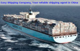 20ft 40ft Shipping Container Services General Cargo Ship