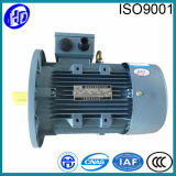 3 Phase Electric Motor in AC Motor