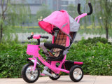 New Models Three Wheel Baby Tricycle with Canopy (AFT-CT-031)
