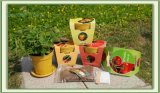 4 Inch DIY Garden Biodegradable Pot (904004)
