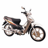 Cub/Motorcycle/Motobike (SP125-13N)