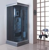 Latest Design Shower Enclosure (SLP-9939)