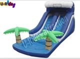 8m Long Inflatable Water Single Slide