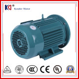 Super Efficiency Electric Induction Motor